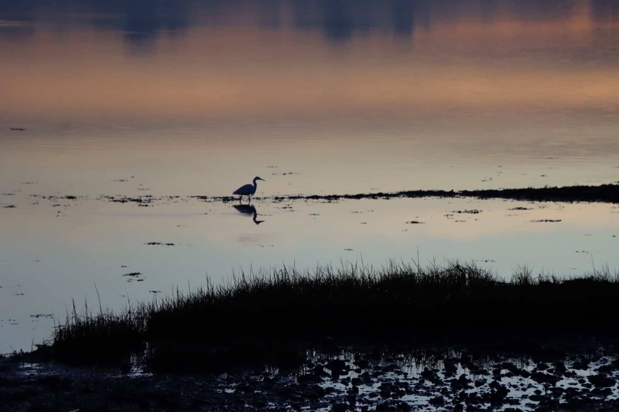 Milford Hotel Review – The Beach House: Fawlty Service, but Amazing Hotel