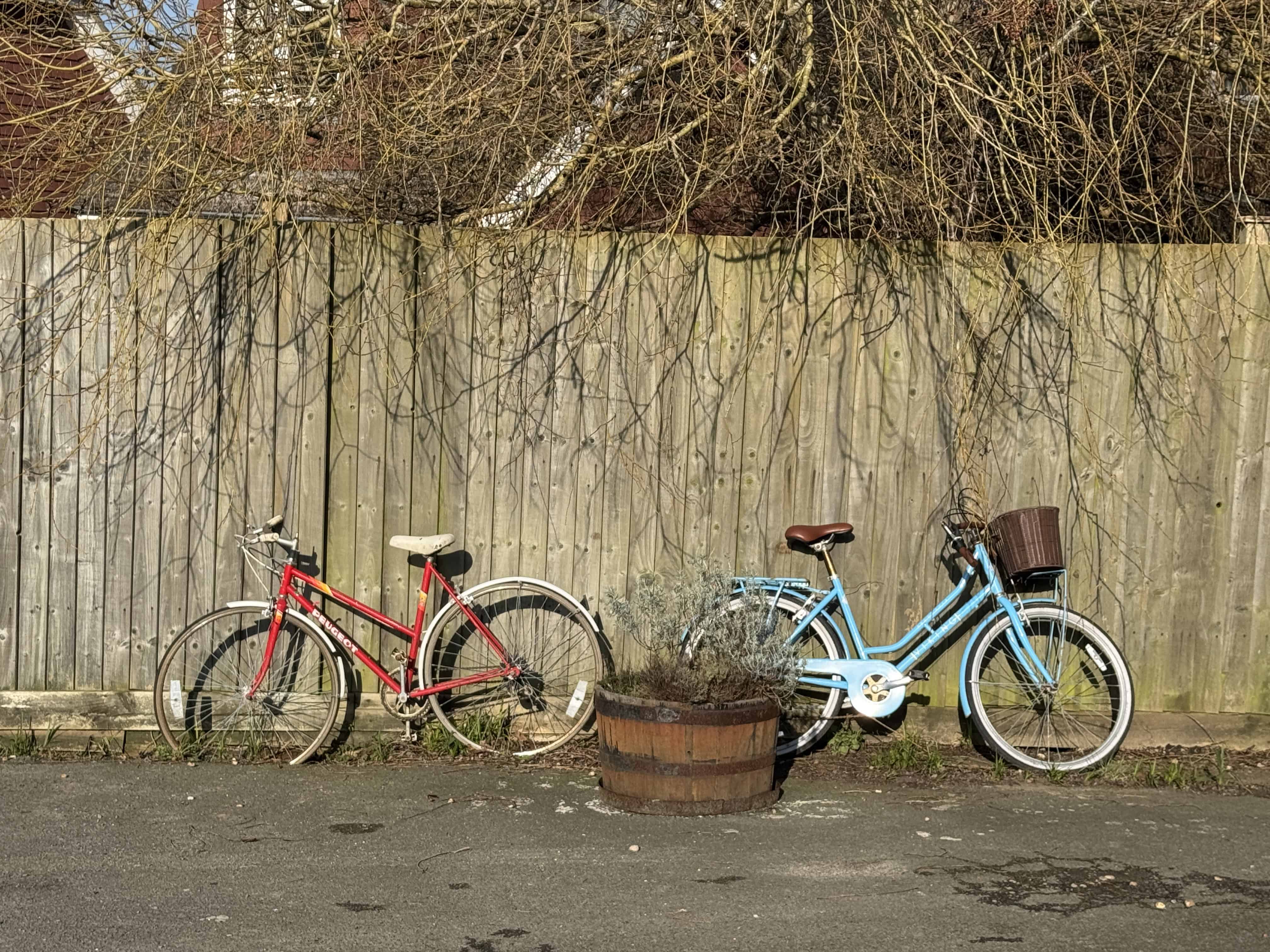 Fairlight Pub Review – The Cove: Midday at the Oasis