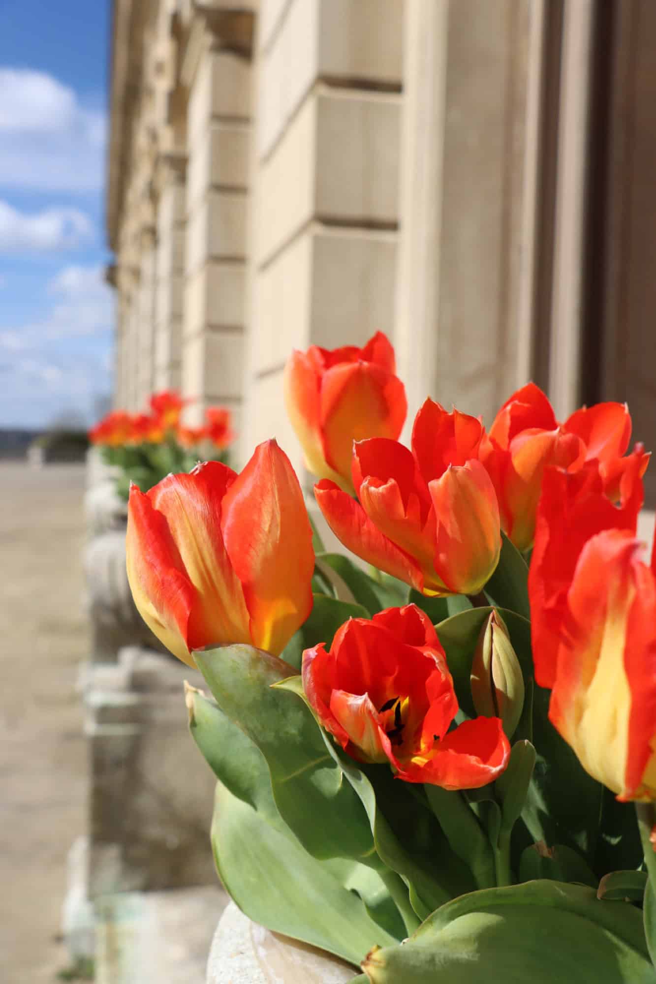 Taplow Hotel Review – Cliveden House: Astor la Vista, Baby…